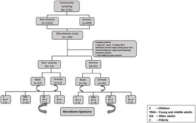 Predictive association of gut microbiome and NLR in anemic low middle-income population of Odisha- a cross-sectional study